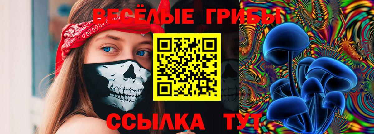Галлюциногенные грибы Psilocybine cubensis  Вход с VPN  Краснокаменск 